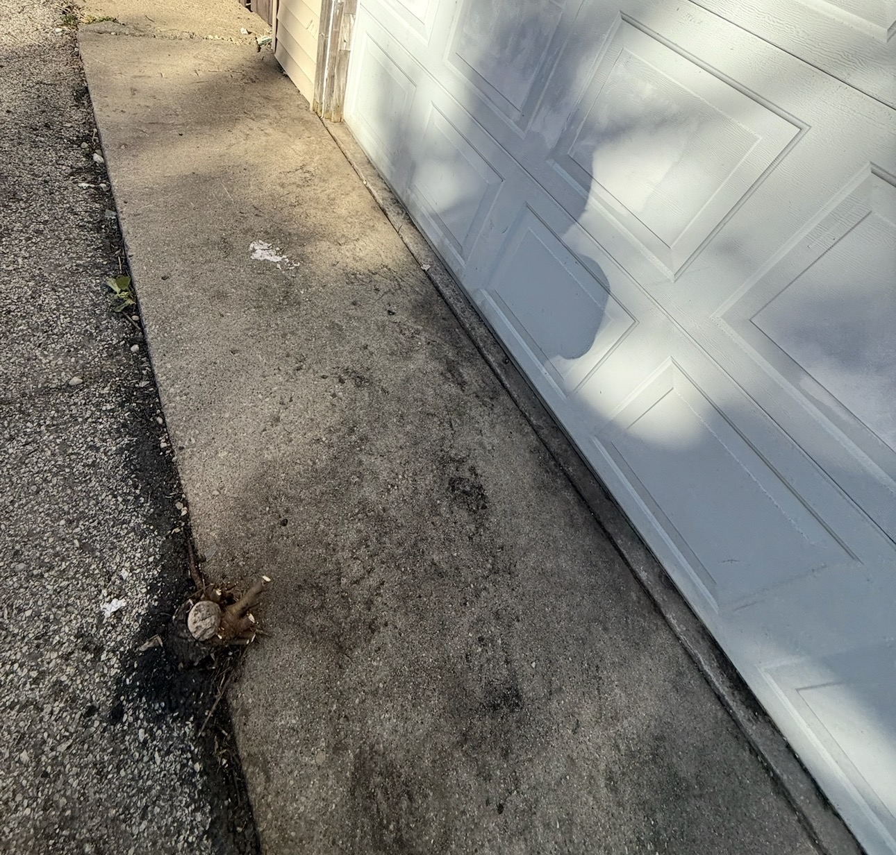 The same garage area cleared of trash and weeds with clean concrete