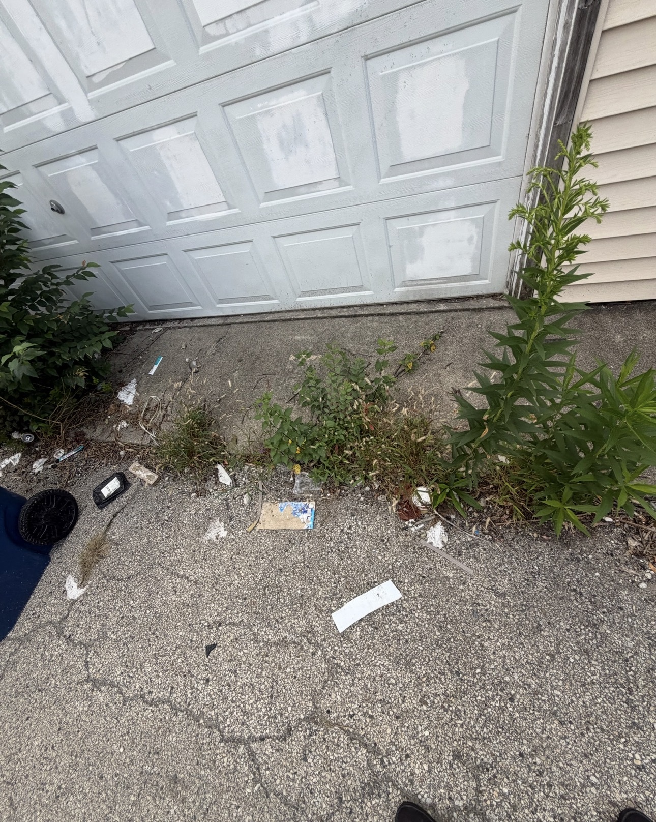 Garage area covered in litter, debris and weeds before trash removal